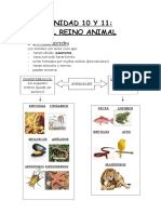 Unidad 10 y 11 - El Reino Animal