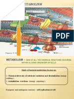 Bac Metabolism