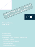 Fungi Causing Superficial Mycoses