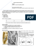 Clase 1 SISTEMA VESTIBULAR PERIFÉRICO