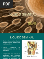 Seminário LIQUIDO SEMINAL