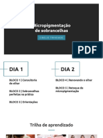 Slides Micropigmentacao de Sobrancelhas