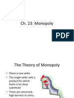 CH 23 Monopoly