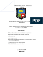 Informe de Practica N°5 Ccallo