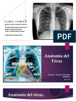 Anatomía Del Tórax