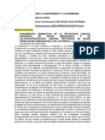 Protección A La Maternidad y A Los Menores Retroalimentación