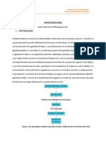 Endocrinologia Veterinaria