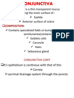 CONJUNCTIVA