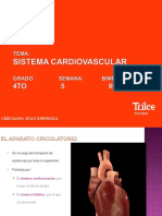 Aparato Cardiovascular