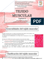 Tejido Muscular