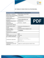 Anexo 1 - Formato Plan de Trabajo - CARLOS MOTTA