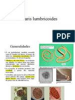 Áscaris Lumbricoides