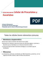 Estructura Celular - 2022 - 1S