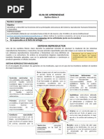 Guia Aprendizaje Septimo Basico