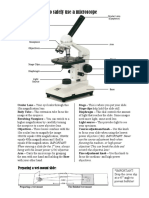 Microscope 101: How To Safely Use A Microscope: Preparing A Wet-Mount Slide