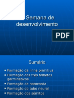 III Semana de Desenvolvimento