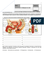 Atividade Noções Sist Reprodutor