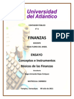 Ensayo Finanzas