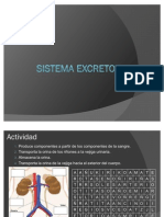 Sistemaexcretor 100609164320 Phpapp01