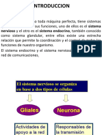 FARMACOl. SIST NERV AUT 2020