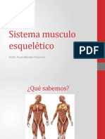 Sistema Musculo Esquelético Clase 3