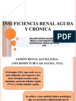 Insuficiencia Renal Aguda y Cronica