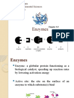 Enzymes: Diploma Program Group 4: Experimental Sciences Biology Course