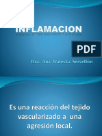 Inflamacion Presentacion