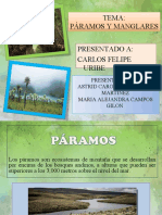 Paramos y Manglares - Exposición