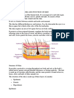 Structure and Function of Skin