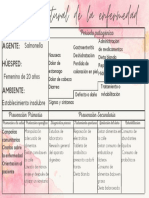 Historia Natural de La Enfermedad