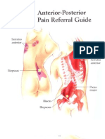 Trigger Point Colour Maps