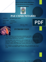 Pae Comunitario