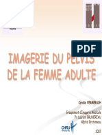 Imagerie Du Pelvis de La Femme