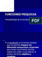 Psicopatologia de La Percepción