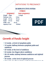 E Maternal Adaptations To Pregnancy