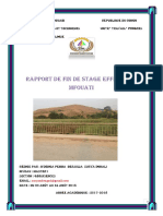 Rapport de Stage Surya