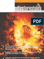 Incendios-Forestales 10