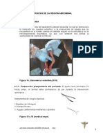 Tecnicas Quirurgicas de La Region Abdominal: Antonio Leonardi Ordóñez Cevallos 2011