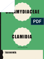 Chlamydia