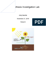 Photosynthesis Investigation Lab