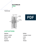 Position Anatomique