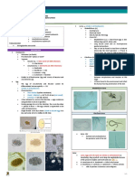 Phasmid 2: Medical Parasitology