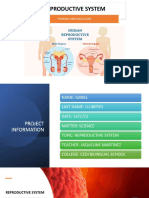 Reproductive System: Femenin and Masculine