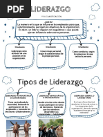 Organizador Grafico. Liderazgo