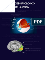 Proceso Fisiologico de La Vista