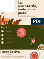 Fecundación, Embarazo y Parto