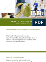 Chemicals in The Brain: Nervous System (Ms Socky)