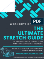 Stretch Guide'