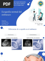 Tema 6 - Ecografía Normal Del Embarazo